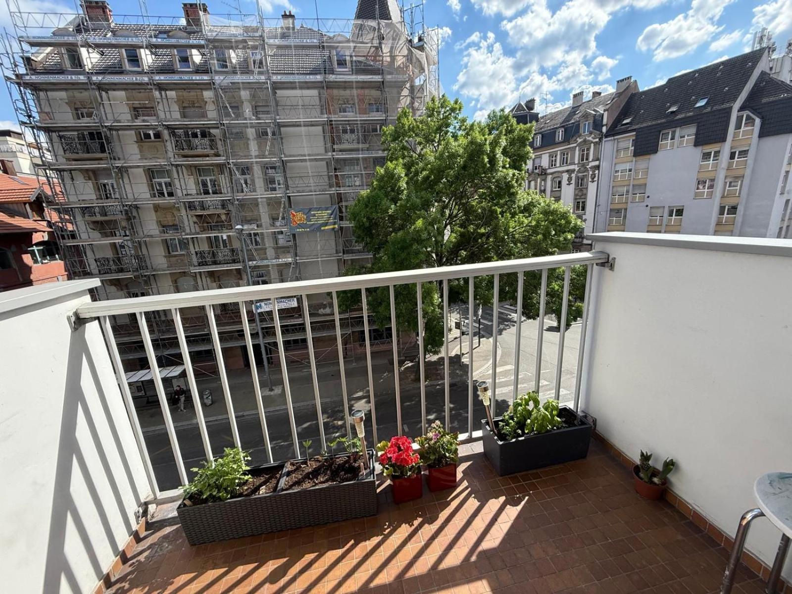 Apartment Petite France Avec 1 Parking *